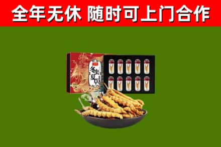 江夏回收冬虫夏草价格