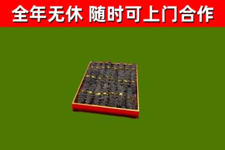 江夏回收海参